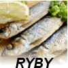 fotka Krevety po �pan�lsku