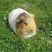 Dva roky s mor�etem 2