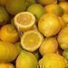 Citrony - zdrav� i kr�sa v jednom ovoci