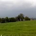 V�b�r vhodn�ho pozemku