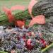 Strach a fanatismus �kod� zdrav� nejen v t�hotenstv�