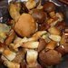 V�domostn� test - Houby