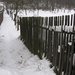 Jak si poradit s n�led�m
