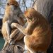 Za��tek pr�zdnin v ZOO Ohrada