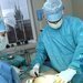 Transplantace tuku odeb�r� a z�rove� p�id�v� tam, kde je pot�eba