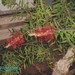 �t�tin�� v kv�tin��i