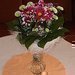 V�domostn� test - Pokojov� rostliny po�esku � 1