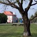 Praha za�ije hromadnou svatbu, o�ek�v� se rekordn� ��ast
