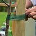 V�sadba ovocn�ch strom�