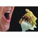 V�domostn� test � Co v�te o potravin�ch?