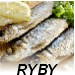 Tu��kov� m�amka na p�nvi