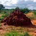 Ke�a � srdce Afriky 1