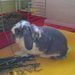 Bl�zen do ukl�zen�