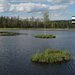 �umavsk� slat�