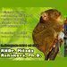 P�edn�ka o n�rtounech a dal�� akce d���nsk� ZOO