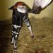 Narodilo se druh� ml�d� okapi v historii �esk� republiky!