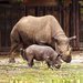 ZOO Dv�r Kr�lov� se p�ipravuje na zimu