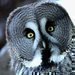 I posledn� dny v roce m��ete str�vit v ZOO!