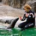 O v�kendu projdou ZOO T�i kr�lov� a lachtani uk�ou, co um�!