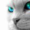 Obr�zek u�ivatelky