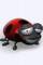 Obr�zek u�ivatelky