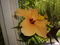 Obr�zek u�ivatelky