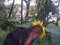Obr�zek u�ivatelky