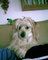 Obr�zek u�ivatelky