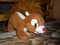 Obr�zek u�ivatelky