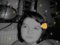 Obr�zek u�ivatelky